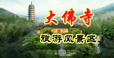 操死女人大骚屄视频中国浙江-新昌大佛寺旅游风景区